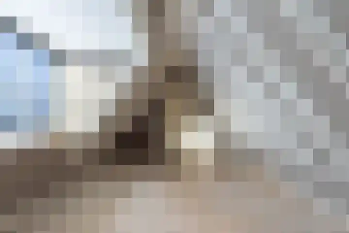 Koedijk 15 Oudebildtzijl thumbnail 43