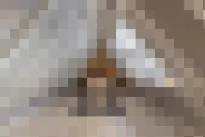 Koedijk 15 Oudebildtzijl thumbnail 44