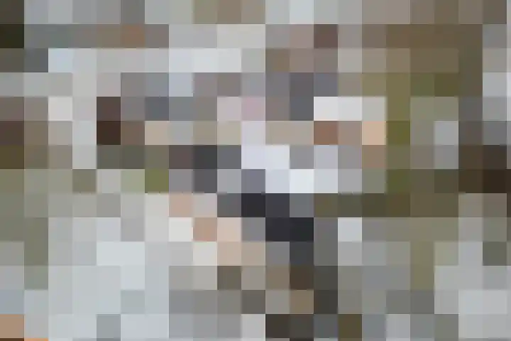 Koedijk 15 Oudebildtzijl thumbnail 6