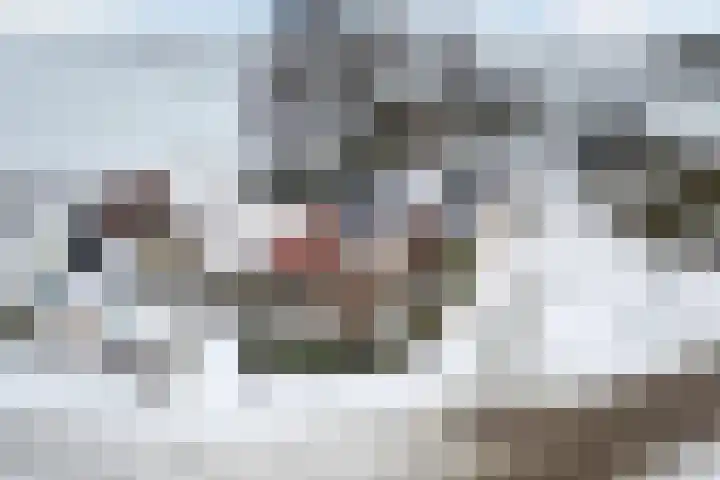 Koedijk 15 Oudebildtzijl thumbnail 7