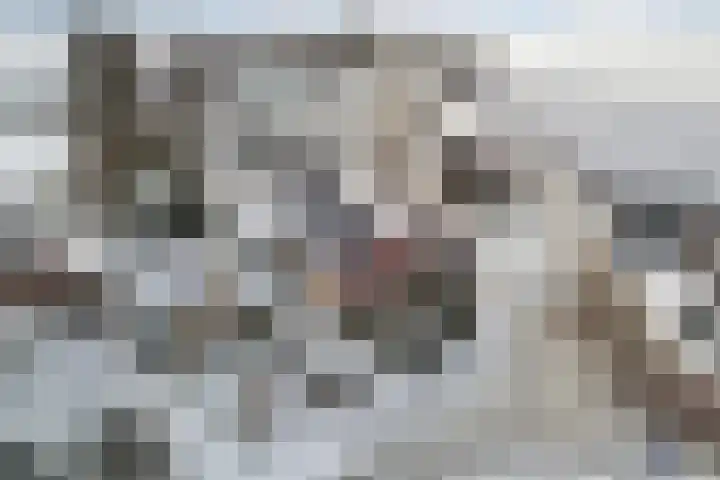 Koedijk 15 Oudebildtzijl thumbnail 8