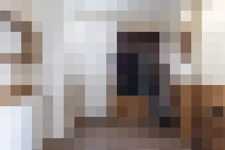 Koedijk 15 Oudebildtzijl thumbnail 9