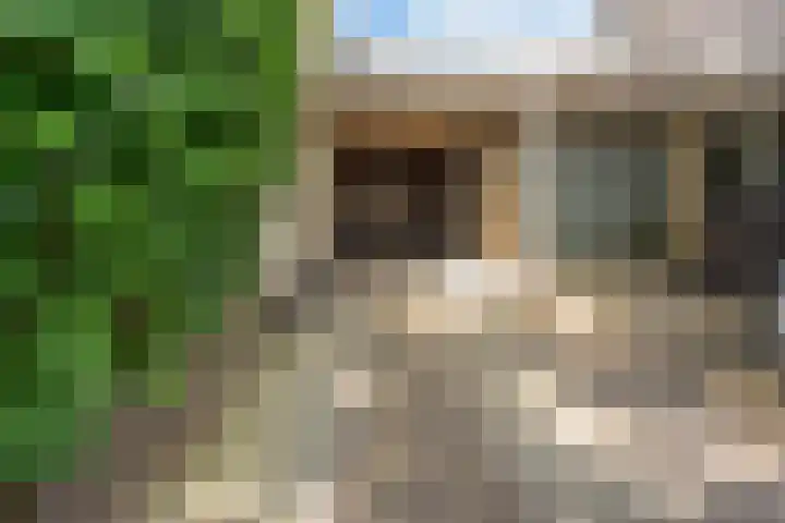 Koedijk 156 Lochem thumbnail 8