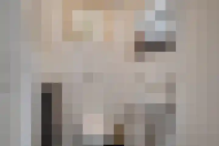 Koedijk 2 Ruurlo thumbnail 20