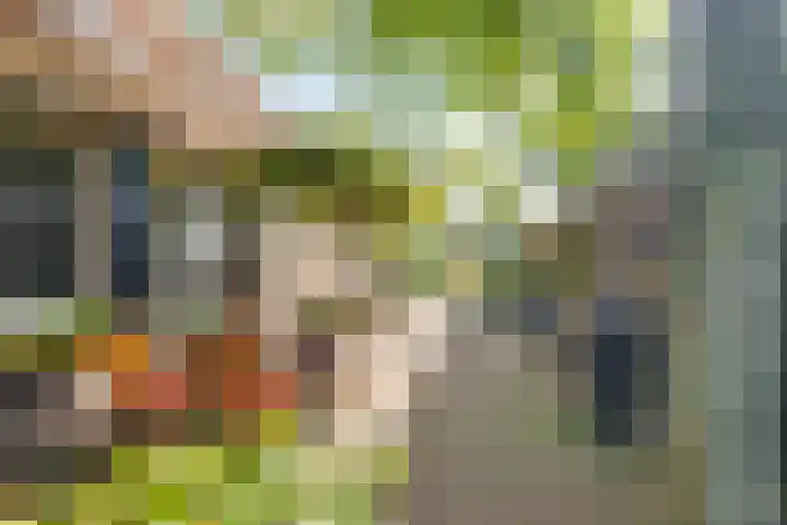 Koedijk 2 Ruurlo thumbnail 31