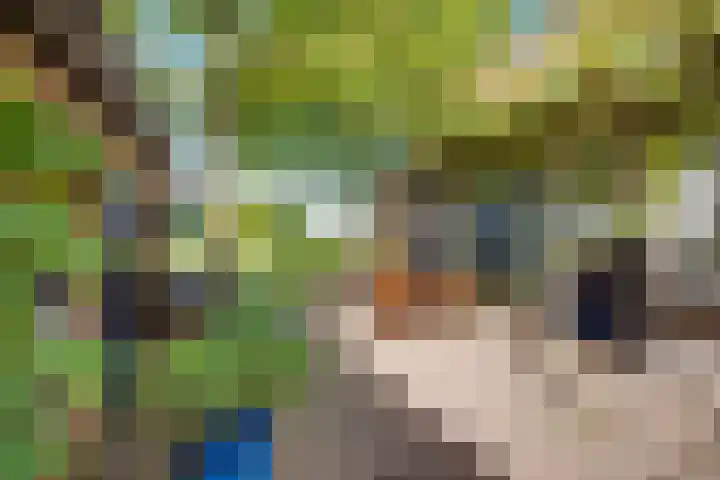 Koedijk 2 Ruurlo thumbnail 32