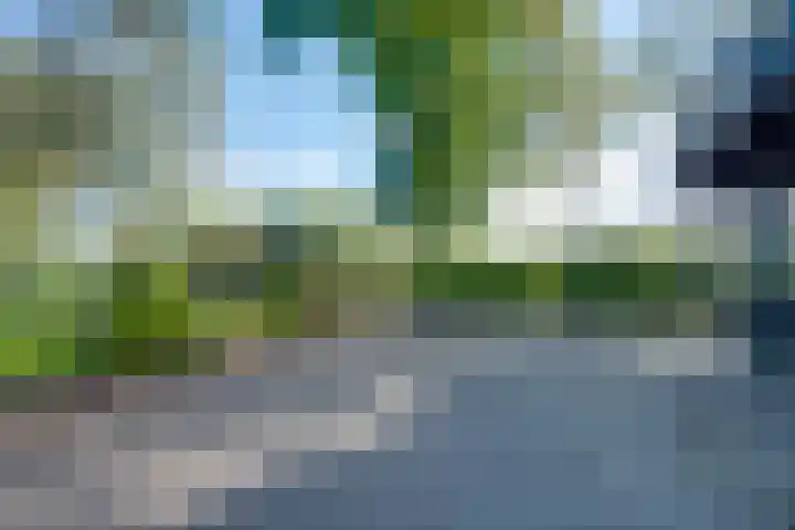 Koedijk 2 Ruurlo thumbnail 35