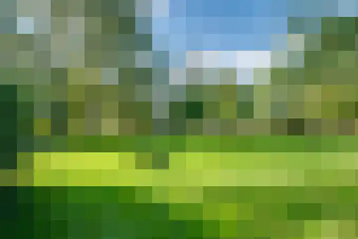 Koedijk 2 Ruurlo thumbnail 36