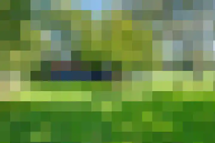 Koedijk 2 Ruurlo thumbnail 38