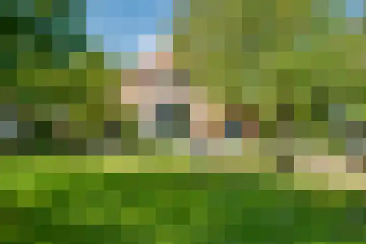 Koedijk 2 Ruurlo thumbnail 39