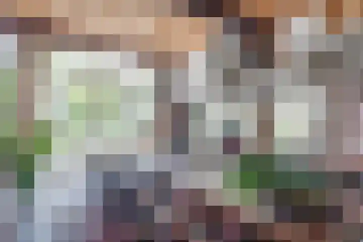 Koedijk 2 Ruurlo thumbnail 4