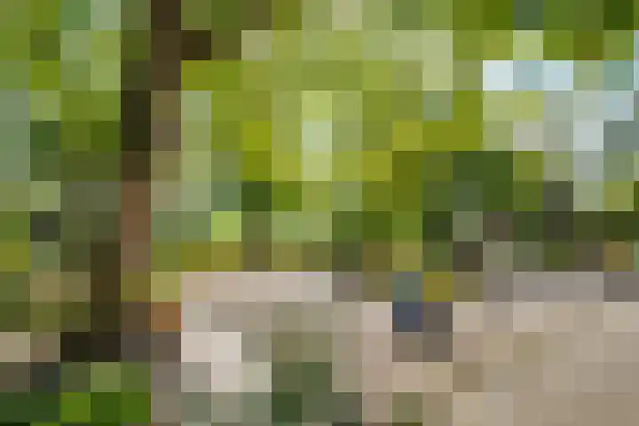 Koedijk 2 Ruurlo thumbnail 40