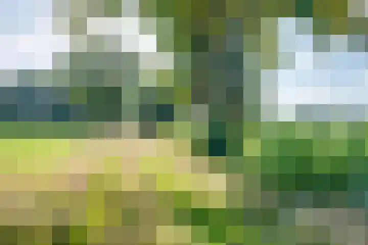 Koedijk 2 Ruurlo thumbnail 42