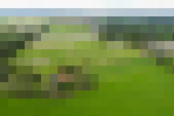 Koedijk 2 Ruurlo thumbnail 44