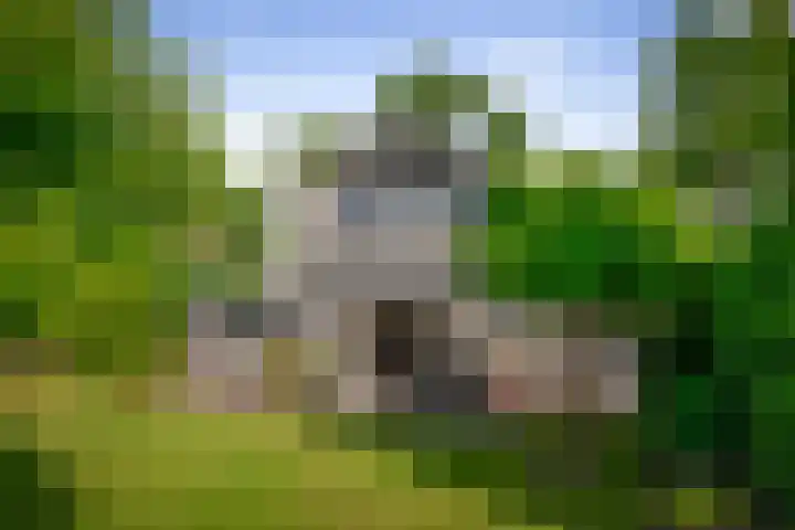 Koedijk 22 Lochem thumbnail 14