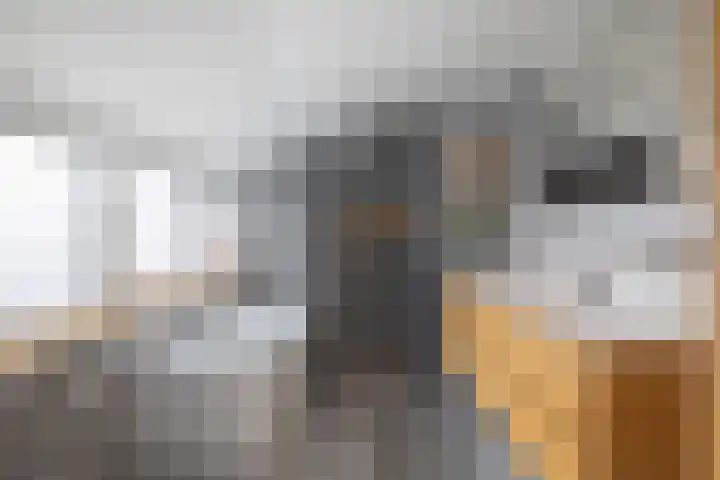 Koedijk 22 Lochem thumbnail 29