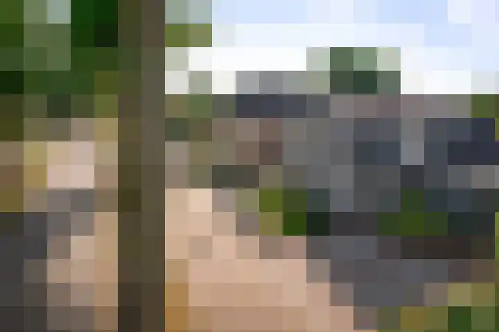 Koedijk 22 Lochem thumbnail 46