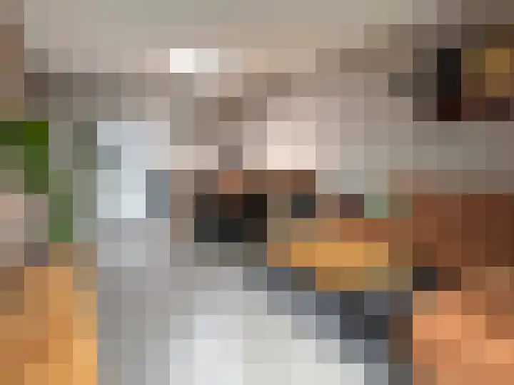 Koedijkje 45 Coevorden thumbnail 4