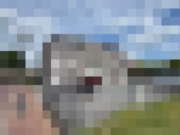 Koedijkje 45 Coevorden thumbnail 9