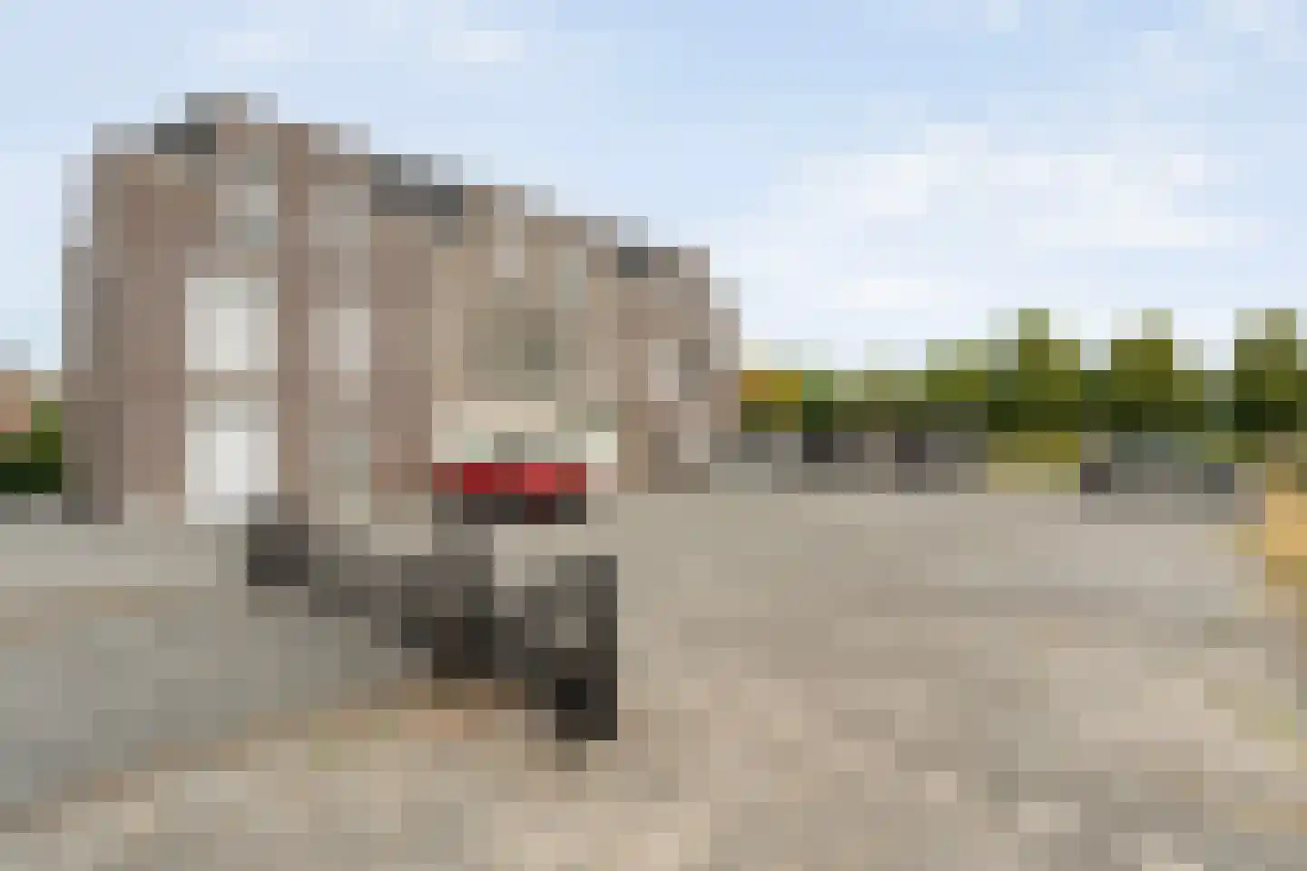 Koedijkje 47 Coevorden thumbnail 12