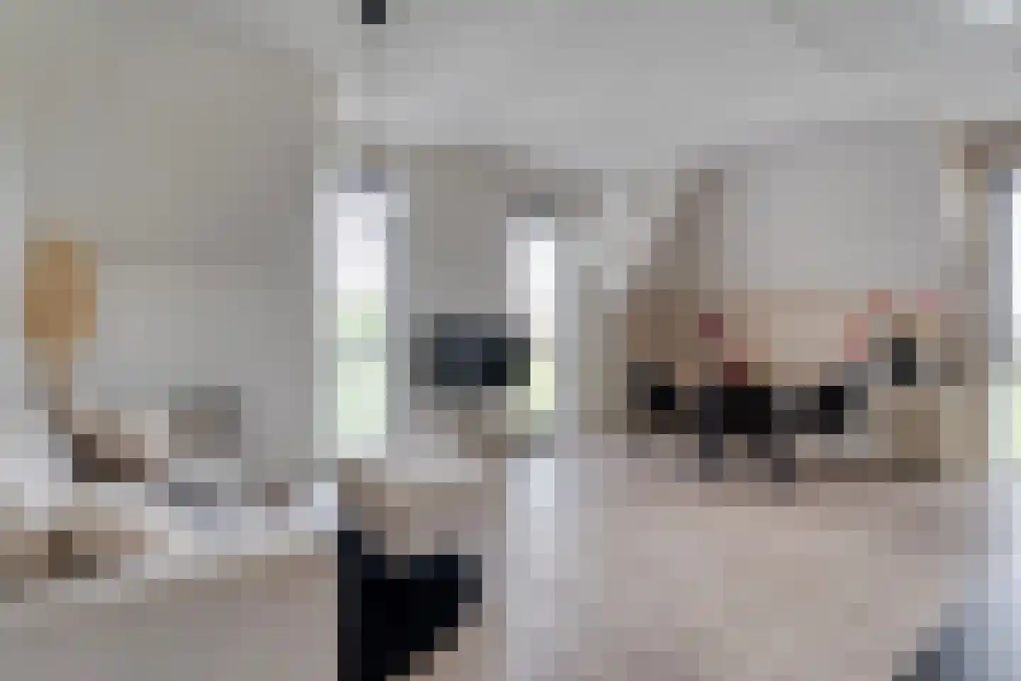 Koedijkje 47 Coevorden thumbnail 24