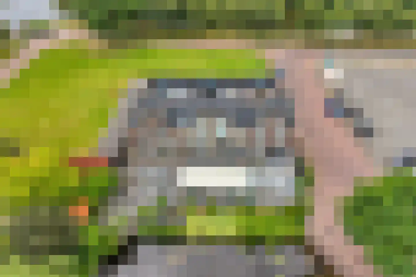 Koedijkje 47 Coevorden thumbnail 4