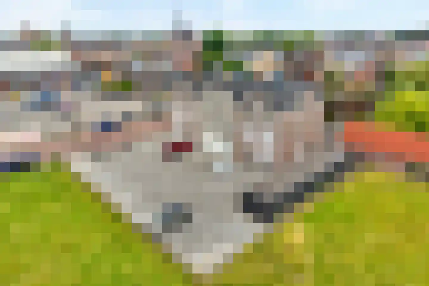 Koedijkje 47 Coevorden thumbnail 8