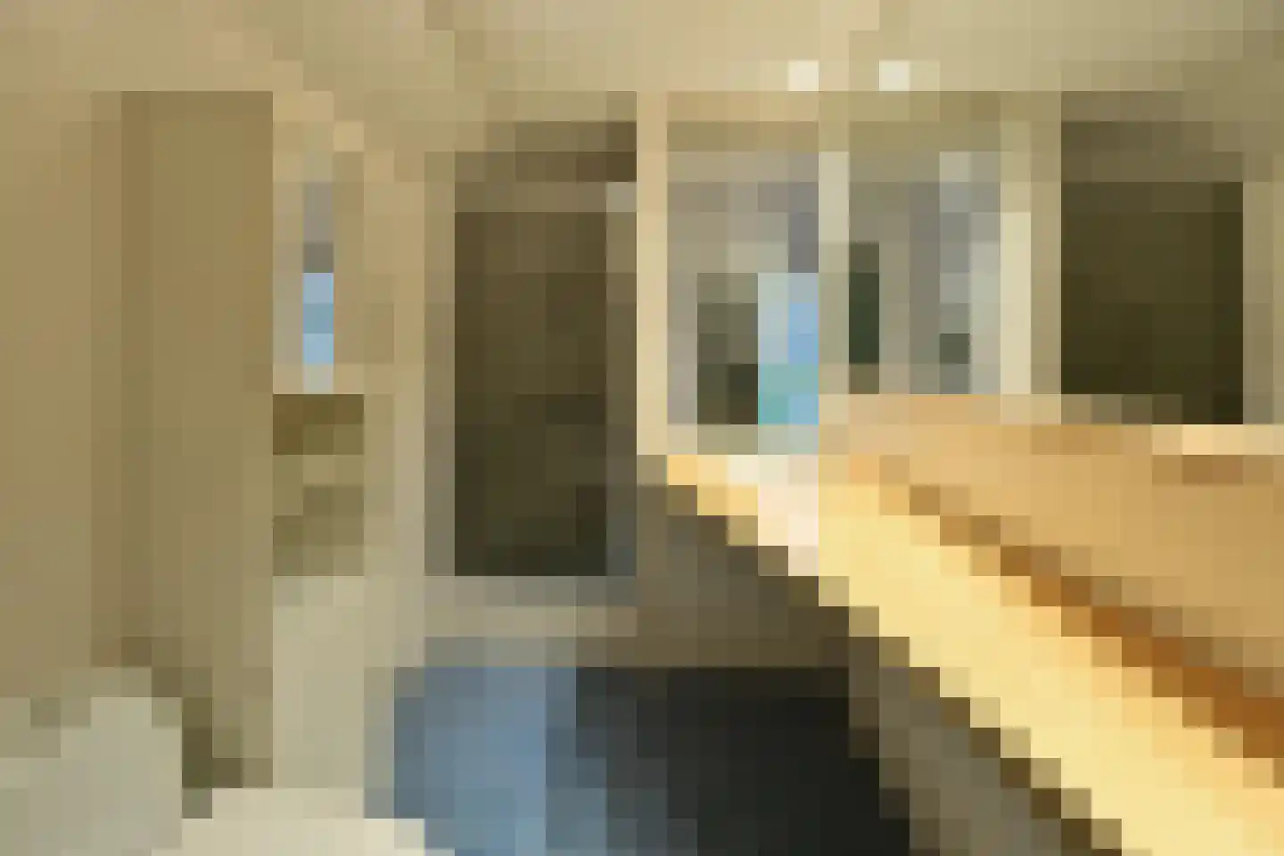 Koedijklaan 1 A Bussum thumbnail 13