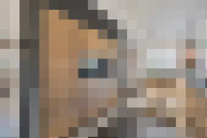 Koedood 33 c Rhoon thumbnail 12