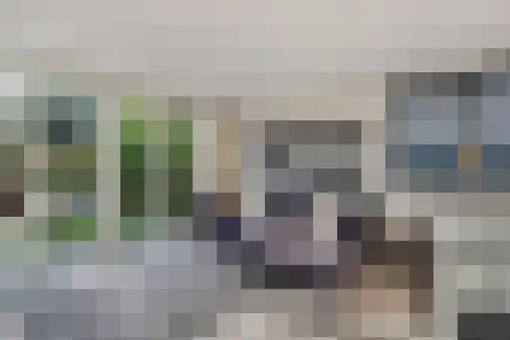 Koedood 33 c Rhoon thumbnail 19