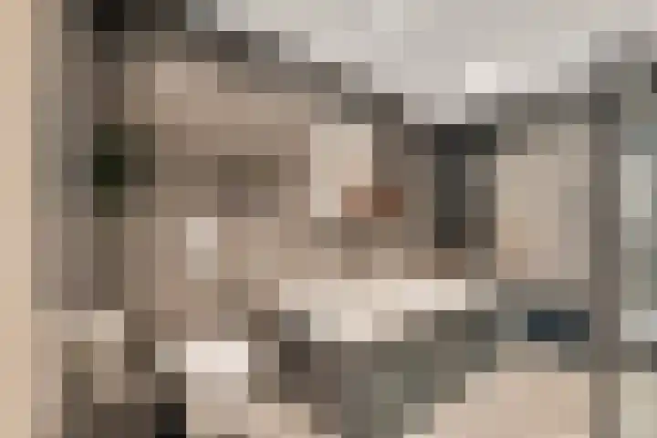 Koedood 33 c Rhoon thumbnail 22