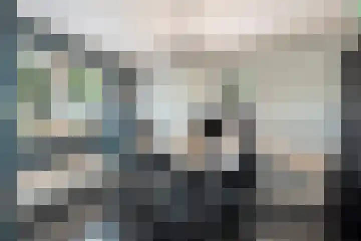 Koedood 33 c Rhoon thumbnail 26