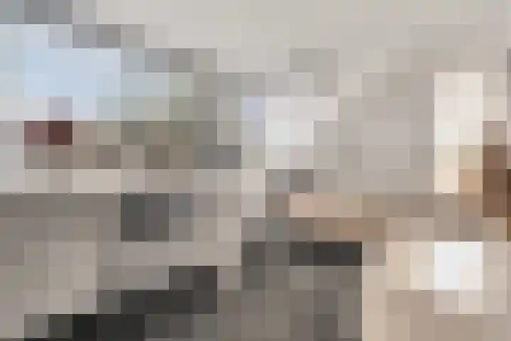 Koedood 33 c Rhoon thumbnail 27