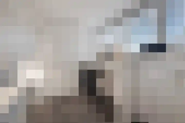 Koedood 33 c Rhoon thumbnail 28