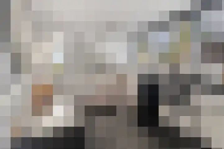 Koedood 33 c Rhoon thumbnail 29