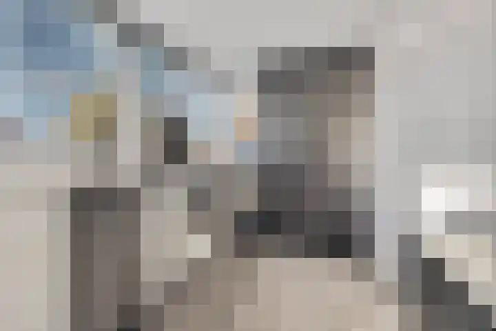 Koedood 33 c Rhoon thumbnail 30