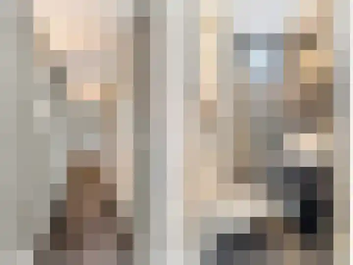 Koedood 33 c Rhoon thumbnail 33