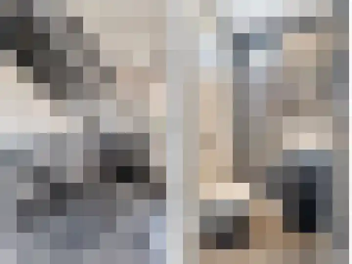 Koedood 33 c Rhoon thumbnail 34