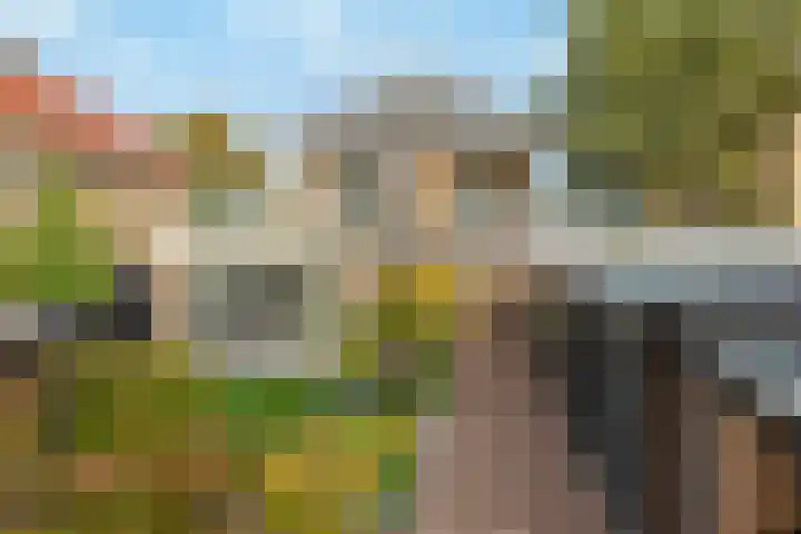Koedood 33 c Rhoon thumbnail 40