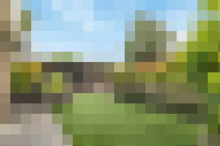 Koedood 33 c Rhoon thumbnail 41