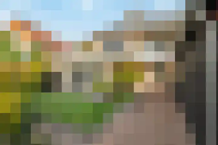 Koedood 33 c Rhoon thumbnail 42