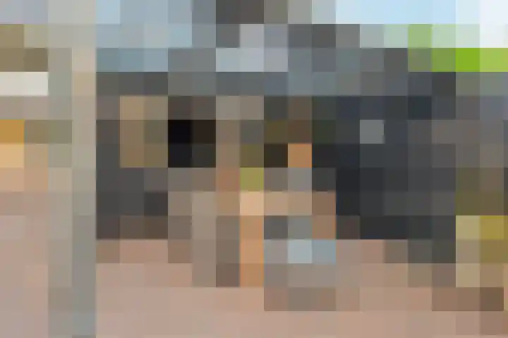 Koedood 33 c Rhoon thumbnail 44