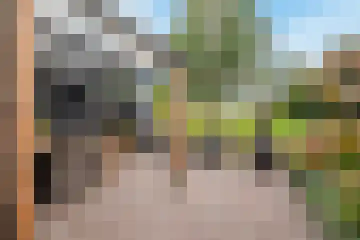 Koedood 33 c Rhoon thumbnail 45