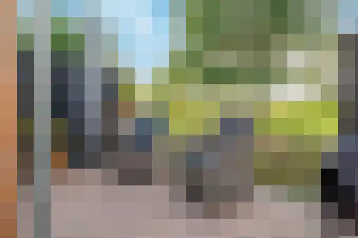 Koedood 33 c Rhoon thumbnail 46