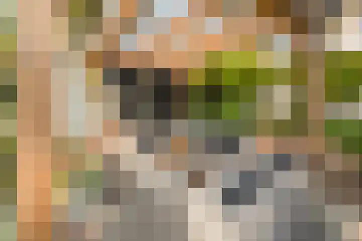 Koedood 33 c Rhoon thumbnail 48