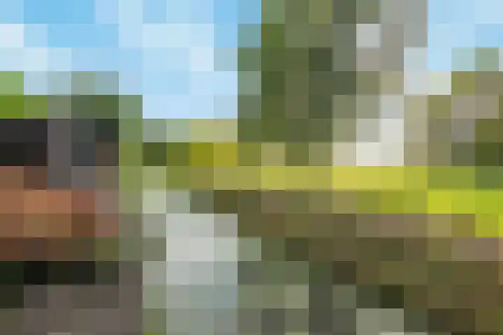 Koedood 33 c Rhoon thumbnail 50