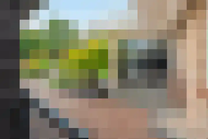 Koedood 33 c Rhoon thumbnail 51