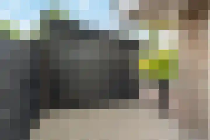 Koedood 33 c Rhoon thumbnail 52