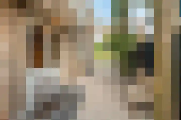 Koedood 33 c Rhoon thumbnail 53