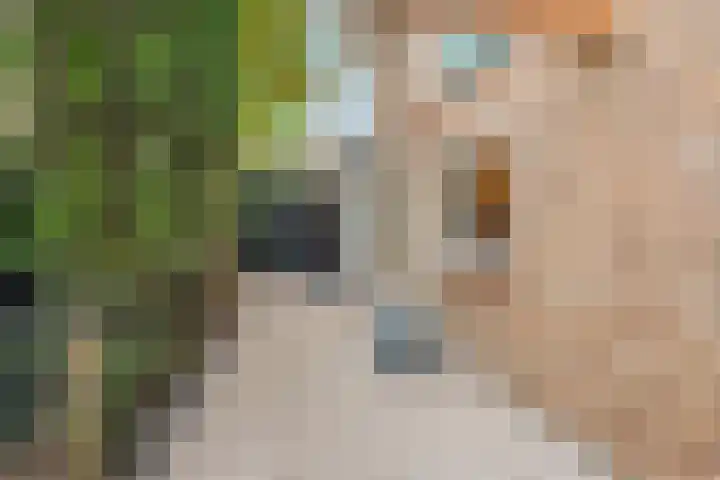 Koedood 33 c Rhoon thumbnail 54